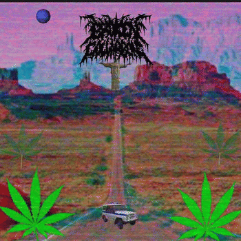 Broken Collarbone : Broken Collarbone